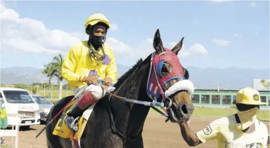  ?? (Photo: Garfield Robinson) ?? Joint champion jockey for 2020 Anthony Thomas atop Purple Wayne