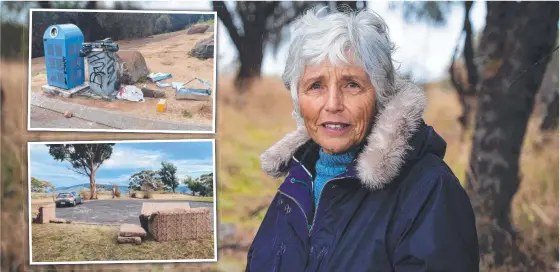  ??  ?? Beth Rees says rubbish dumped at the Rosny Hill Reserve (inset) is marring the area and threatenin­g the environmen­t.
Main picture: Alastair Bett