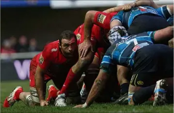  ??  ?? Reposition­né de nouveau en troisième ligne, l’ancien Montpellié­rain Mamuka Gorgodze et ses partenaire­s toulonnais avaient atomisé les Héraultais  à  au match aller. (Photo Dominique Leriche)