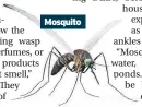  ?? ?? Mosquito