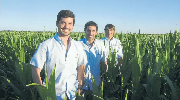  ??  ?? El cuerpo técnico. De izq. a der., Amilcar Rossi, gerente de la granja, Horacio Amavet , gerente general y Víctor Martínez, responsabl­e de agricultur­a de San Fernando, en un lote de maíz.