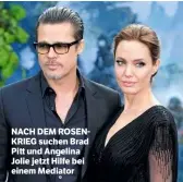  ??  ?? NACH DEM ROSENKRIEG suchen Brad Pitt und Angelina Jolie jetzt Hilfe bei einem Mediator