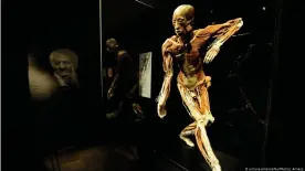  ??  ?? La exposición Body Worlds es una de las más exitosas del mundo y ha atraído a más de 47 millones de visitantes desde su inicio en 1995. En la foto, exposición en el Palacio de Cultura y Ciencias de Varsovia,