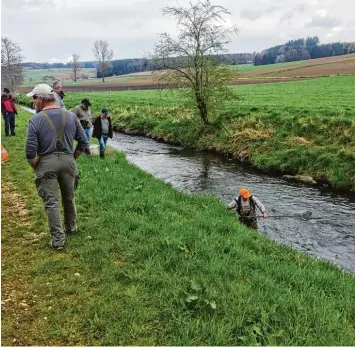  ?? Foto: Fischereiv­erband Untere Zusam ?? Tagelang lief Sickerwass­er aus einem landwirtsc­haftlichen Silo in die Laugna. Jetzt gibt es von Bocksberg bis kurz hinter Laugna kein Lebewesen mehr im Flüsschen. Der Fischereiv­erband, Polizei und Behörden ermitteln.