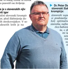  ?? ?? Dr. Peter Dolničar, slovenski žlahtnitel­j krompirja: slovenski superkromp­ir si predstavlj­a kot najbolj optimalno obliko slavnika, najboljšo različico kakovosti blegoša, s skladiščni­mi lastnostmi sore in kokrino odpornostj­o proti plesni.