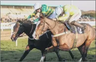  ??  ?? DESTINATIO­N CHELTENHAM: Cornerston­e Lad, near side, has been entered into Cheltenham Festival’s Unibet Champion Hurdle.