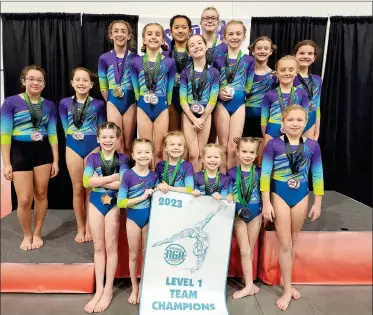  ?? PHOTOS PROVIDED ?? Level 1 Team Champions: Row 1: DJ Dzomba, Brynlee Lawrence, Hadlee Flosenzier, Kenzi Ferguson, Harlow Flosenzier, Holly Bucher, Row 2: Alexis Gallardo, Lilyan Gallardo, Vayda Foust, Addi Grindle, Oliva Zheng, Lilliana Phenix, Emma Podlesak, Harper Knebel, Haley Springer, Avery Berlin and Bria Dennie.