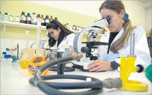  ??  ?? PRÁCTICAS EN EL LABORATORI­O Estudiante­s del grado superior de Técnico en Laboratori­o mientras realizan unas prácticas J. BARRERAS