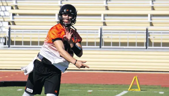  ?? B.C. LIONS ?? Lions rookie quarterbac­k Ricky Lloyd, who was scheduled to play one quarter of last week’s exhibition against Calgary, excelled with some extra time, throwing three TD passes.