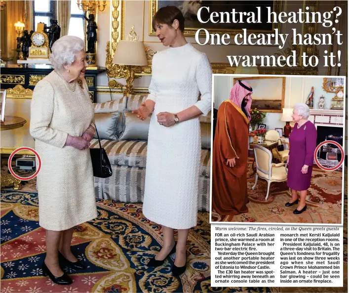  ??  ?? Warm welcome: The fires, circled, as the Queen greets guests