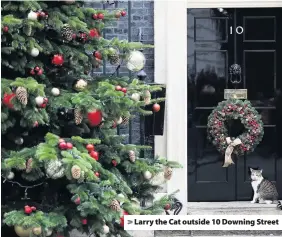  ??  ?? > Larry the Cat outside 10 Downing Street