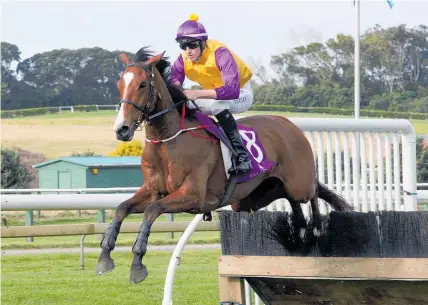  ?? Photo / Trish Dunell ?? Monarch Chimes competes in the $50,000 Hawke’s Bay Hurdle tomorrow.