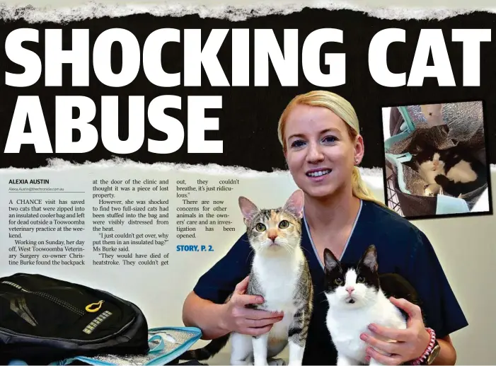  ??  ?? FELINE GOOD: West Toowoomba Veterinary Surgery technician Brittney Jones is helping to nurse the two cats back to health after their traumatic ordeal at the weekend.