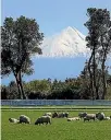  ?? CAMERON BURNELL/FAIRFAX NZ ?? Finishing farm values are up 13 per cent.