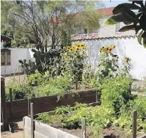  ??  ?? Consider raising your beds another tier to provide a much deeper root zone.