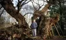  ?? ?? Ted Green, 89, remains an adviser to the crown estate at Windsor. Photograph: Alicia Canter/The Guardian