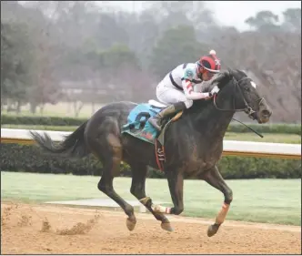  ?? The Sentinel-Record/Mara Kuhn ?? NOT DONE YET: Jockey Ramon Vazquez rides Domain Rap to win the Fifth Season Stakes at Oaklawn Park on Jan. 13, 2017. The 10-year-old Cherokee Gap gelding was retired last summer due to a suspensory ligament issues, but he resumed training last fall,...