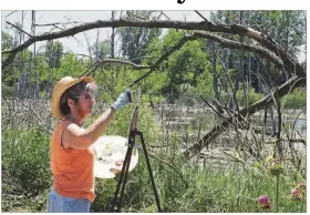  ?? CONTRIBUTE­D PHOTOS ?? Jody Ball of Blancheste­r likes to paint en plein air.