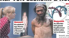  ?? ?? Vonzerő Elcsábítot­t egy Homo sapienst a Neandervöl­gyi
Hagyaték Az átörökítet­t gének fogékonnyá tettek sokakat a vírusra