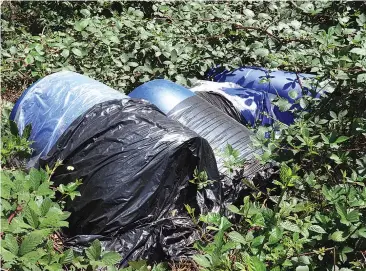  ??  ?? Four 100 litre drums of dairy product waste were illegally dumped on the roadside of Waltons Rd, Drouin West recently.