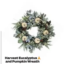  ?? ?? Harvest Eucalyptus and Pumpkin Wreath
Available at Amazon
If you prefer more muted decoration­s for fall, try this green and white wreath made with artificial eucalyptus sprigs and small pumpkins. Its lifelike, natural colors look welcoming on a front door or in a dining room.