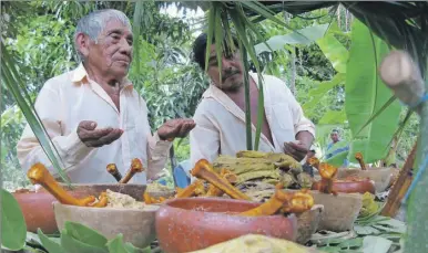  ??  ?? Un ritual tradiciona­l en Tahdziú. Un especialis­ta recordó algunas recomendac­iones de los ancianos mayas para la prevención de enfermedad­es