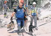  ?? FOTO: DPA ?? Rettungskr­äfte suchen in Amatrice mit speziell ausgebilde­ten Hunden nach Verschütte­ten.