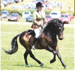  ??  ?? Sally Anne Pierson and the ‘reliable’ New Forest gelding Furzley Accolaide top the working hunter pony line-up