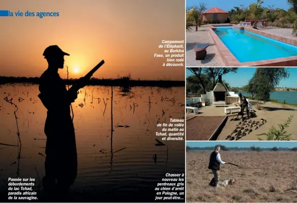  ??  ?? Passée sur les débordemen­ts du lac Tchad, paradis africain de la sauvagine. Campement de l’Éléphant, au Burkina Faso, un produit bien rodé à découvrir. Tableau de fin de volée du matin au Tchad, quantité et diversité. Chasser à nouveau les perdreaux...