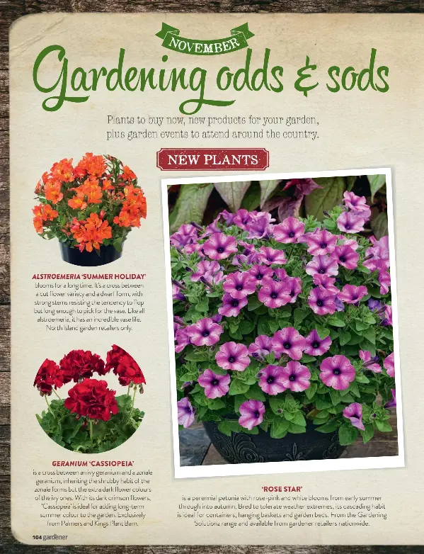 Gard G Odds Sods Pressreader