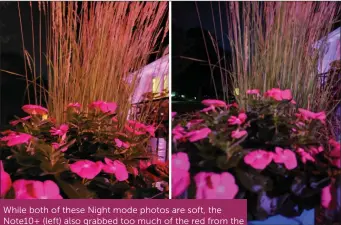  ??  ?? While both of these Night mode photos are soft, the Note10+ (left) also grabbed too much of the red from the flowers and added a tint to the rest of the photo, while the Pixel 3 XL (right) had a more accurate colour balance