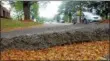  ??  ?? City officials want to use a laser scanning process to survey the condition of Kingston's sidewalks.