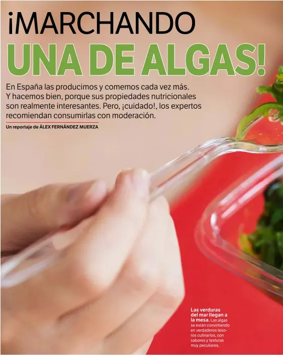  ??  ?? Las verduras del mar llegan a
la mesa. Las algas se están convirtien­do en verdaderos tesoros culinarios, con sabores y texturas muy peculiares.