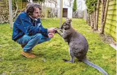  ?? Foto: Philipp Schulze, dpa ?? Benjamin Müller spielt mit dem Känguru Viggo in seinem Garten. Dieser ist nach An sicht der Behörden aber zu klein für das Tier.