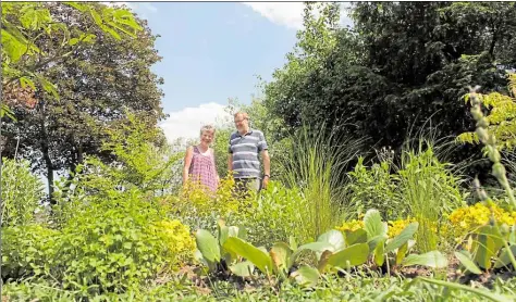  ?? BILD: TONIA HYSKY ?? Ein kleines Paradies: Irmgard und Klaus Stolle zeigen an den „Tagen des offenen Gartens“ihren eigenen Garten in Wiefelsted­e den Besuchern.