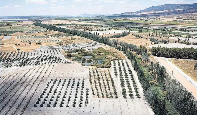  ?? EFE ?? Campos de cultivo afectados por la sequía en el entorno de las Tablas de Daimiel.