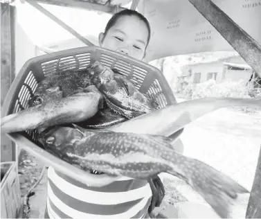  ??  ?? FRESH CATCH — A fish trader shows freshly caught Lapu-lapu (grouper) in Samal Island, Davao del Norte which has recently reopened for tourists in a bid to reboot its economy amid the pandemic. (Keith Bacongco)