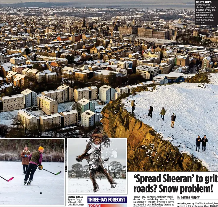  ?? ?? SNOW BALL: Spaniel Angus frolics at Leith Links,Edinburgh
WHITE CITY: Intrepid locals climbed up Arthur’s Seat for a view of a snow-covered Edinburgh in the winter sunshine – and there’s more to come