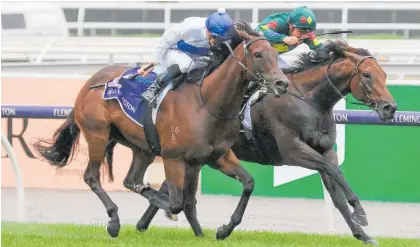  ?? Photo / Bruno Cannatelli ?? Catalyst (outer) is edged out by Alligator Blood after an epic battle at Flemington on Saturday.
