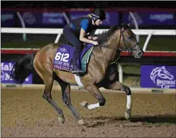  ?? BARBARA D. LIVINGSTON ?? Gear Jockey trains Wednesday at Del Mar for the BC Turf Sprint, which at five furlongs might be a tad short for him.