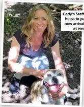  ??  ?? Carly’s Staffy helps to put new arrivals at ease