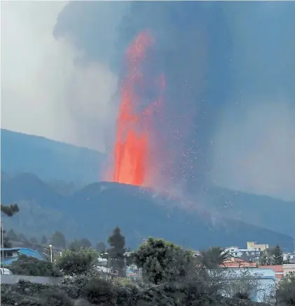  ?? ?? Fenómeno. Las coladas de lava ya cubren 190 hectáreas y han destruido a su paso 420 edificacio­nes.REUTERS