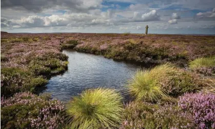  ?? Photograph: Mike Kipling Photograph­y/Alamy ?? Old Ralph’s Cross and peat bog on Westerdale Moor, North York Moors national park.