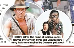  ?? ?? DOG’S LIFE: The name of Indiana Jones (played by Harrison Ford) and Chewbacca’s furry look were inspired by George’s pet pooch