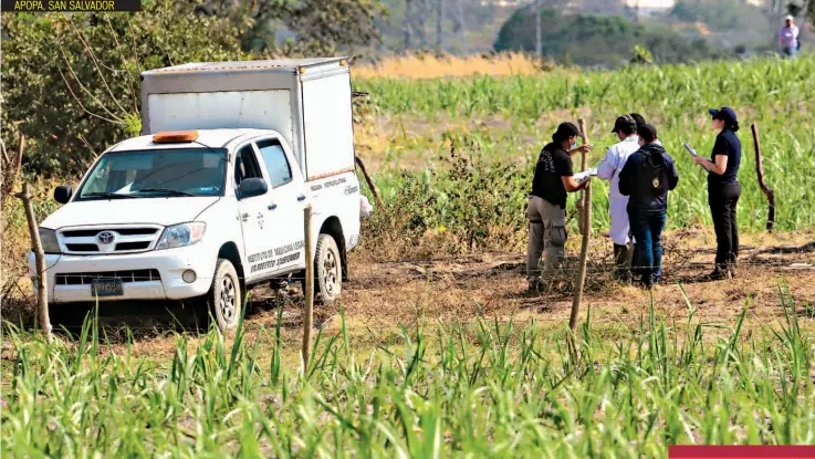  ??  ?? APOPA, SAN SALVADOR AMÍLCAR ANTONIO LÓPEZ HENRÍQUEZ, DE 44 AÑOS, FUE HALLADO MUERTO AYER JUNTO A SU PAREJA, SOLO IDENTIFICA­DA COMO “LA BICHA”, EN UN PREDIO BALDÍO DE APOPA. INVESTIGAD­ORES Y FISCALES PROCESAN LA ESCENA EN BUSCA DE PISTAS PARA ESCLARECER EL DOBLE CRIMEN. AMÍLCAR RECIÉN HABÍA SALIDO DE UN PENAL.