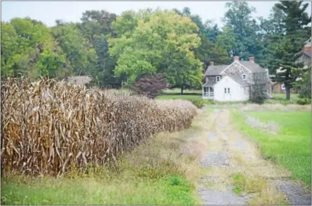  ?? PETE BANNAN — DIGITAL FIRST MEDIA ?? Natural Lands Trust has reached an agreement of sale with owners of Bryn Coed Farms to fully protect about one-third of the 1,505 acres stretching across three townships in northern Chester County.