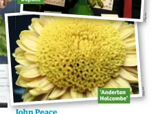  ??  ?? ‘Anderton Holcombe’