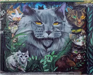  ??  ?? Andando pelo tradiciona­l bairro de imigração italiana da capital paulista, o Bixiga, você pode se deparar com uma das artes de Gatuno