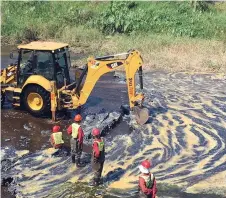  ??  ?? DISASTER: Spill Tech is cleaning up wax in the uMhlatuzan­a Canal. The spill appears to have affected marine and bird life.