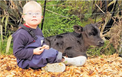  ?? Photos / Supplied ?? Each year, farmers are asked to pledge a calf when the calf is weaned or make a virtual donation.
